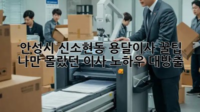 안성시 신소현동 용달이사 꿀팁🍯: 나만 몰랐던 이사 노하우 대방출!