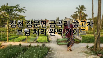 김천 감문면 금곡리 중고차 보험 처리 완벽 가이드